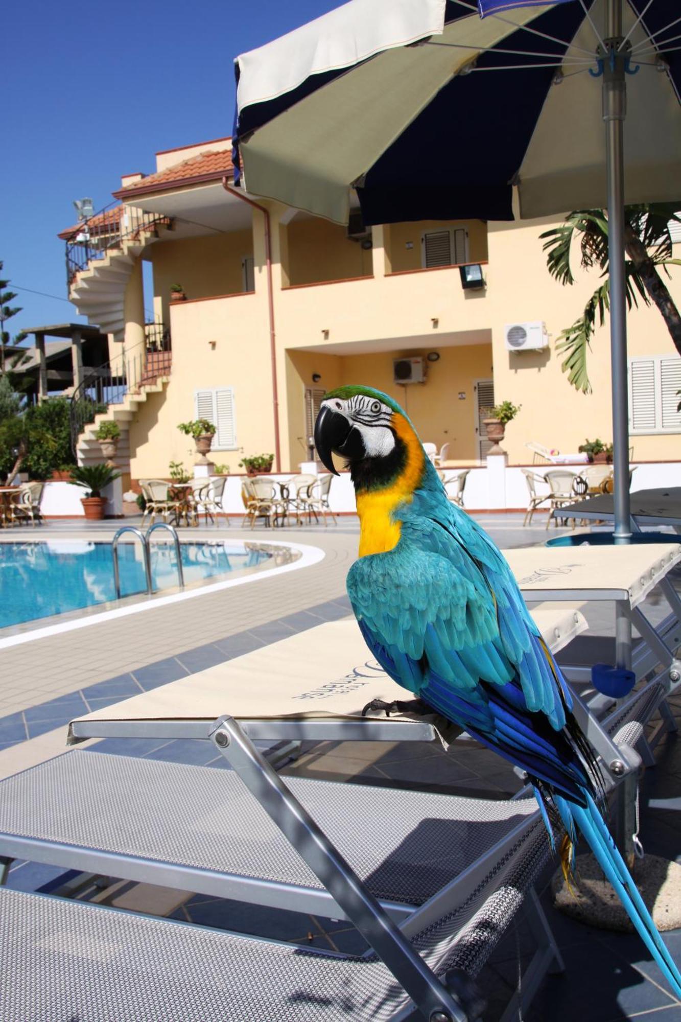 Hotel Damanse Santa Domenica  Luaran gambar